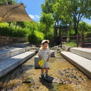 대구근교 물놀이 :: 고령 대가야역사테마관광지(대가야테마파크), 3세 아기가 놀기 좋은 물놀이장