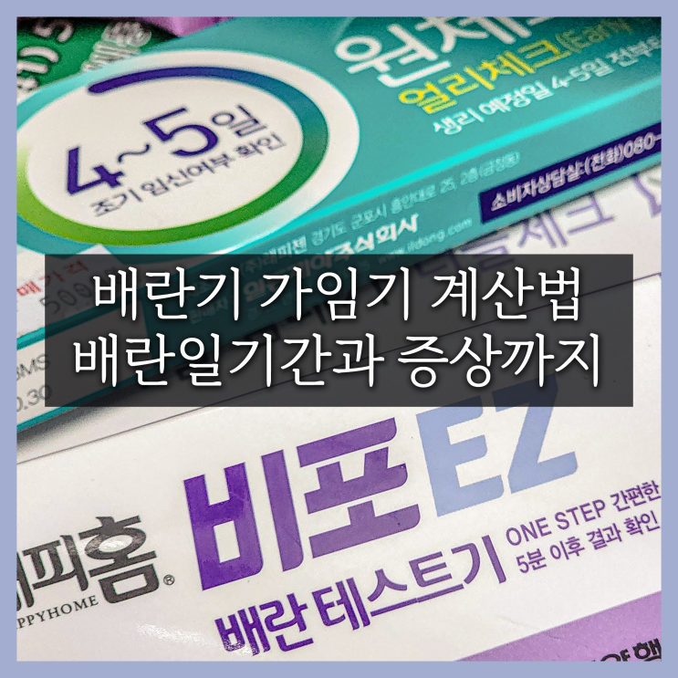 배란일 계산법 생리주기 배란기 증상 가임기 계산기 임신되는 기간 : 네이버 블로그