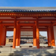 일본 여행 4일차 교토 : 골드짐 헬스장 후기, 교토교엔 교토고쇼 산책, 꼬치구이 맛집, 기온 시라카와 유적산책로