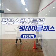 ☆재능기부☆스쿼시일일체험 ㅣ 장유스쿼시클럽 스쿼시 원데이클래스 135회차