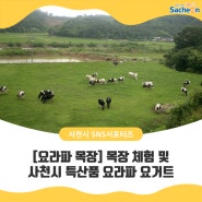 [요라파 목장] 목장 체험 및 사천시 특산품 요라파 요거트