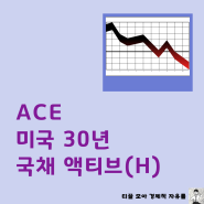 ACE 미국 30년 국채 액티브(H) 주가 전망 종목 수수료까지 ETF 알아보기!