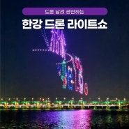 서울 드론쇼 일정 잠실 한강공원 명당 자리 후기 준비물 꿀팁