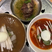 파주 냉면 맛집 문산 모아냉면 주말 웨이팅 내돈내산 후기