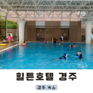 경주 힐튼호텔 유레카 야외 수영장 이용 후기
