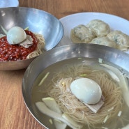 [ 수원 인계동 맛집 | 평장원 ] 평양냉면 첫 도전 후기