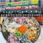 울산 물회 맛집 정자항 근처 정자돌고래횟집