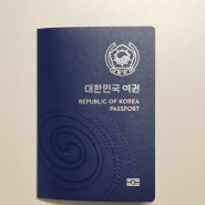 아기 여권사진, 준비물, 아이 여권 만들기 동탄출장소 여권 발급 후기
