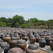 익산여행 가볼만한곳 - 5천여개 장독대 정원이 있는 고스락