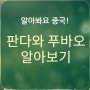 [중국판다/푸바오]중국의 외교관, 판다와 푸바오에 대한 TMI