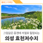 경북 의성 숨은 풍경 맛집 '효천저수지'