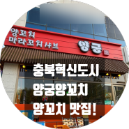 충북혁신도시 양꼬치 맛집! "양궁양꼬치"