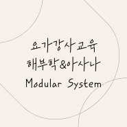 아힘사 해부학&아사나 전문 교육 Modular System