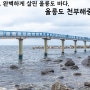 동해 바다 실내 가볼만한곳 경북 비오는날 여행 추천 울릉도 천부해중전망대