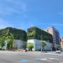 후쿠오카 쇼핑몰 캐널시티 분수쇼보고 라멘스타디움 토마토라멘 정복