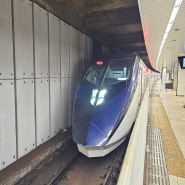 도쿄 스카이라이너 시간표, 노선, 예약 티켓 교환 방법