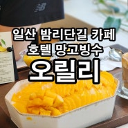 일산 오릴리 밤리단길 본점/호텔 망고빙수/일산 빙수맛집