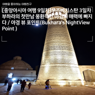 [중앙아시아 여행 9일차]우즈베키스탄 3일차 - 부하라의 첫만남 몽환적인 야경의 매력에 빠지다 / 야경투어 포인트(Bukhara's NightView Point )