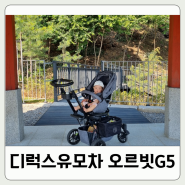 디럭스 유모차 오르빗G5 신생아부터 현재 10개월까지 사용 후기