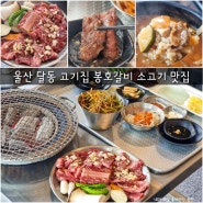 울산 달동 고기집 봉호갈비 가성비 소고기 맛집