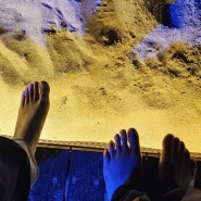 삼척바다, 삼척여행 맨발로 모래사장 걷기