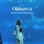 일본 오키나와 자유여행 4박 5일 일정 경비 준비물