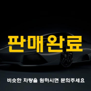 창원 중고차 아반떼 AD 프리미엄 착한중고차 차카고 추천