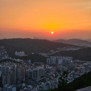 서울 일몰 스팟 🌄 인왕산 코스지도 등산시간 벌레후기