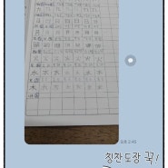 초등학생 한자 수업 이야기 / 나의 소소한 일상^^