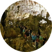 세계에서 두번째로 긴 슬로베니아 포스토이나 동굴과 가장 큰 동굴성 프레자마성