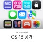 "드디어 전화 실수 줄어들 듯,,," WWDC 2024 애플 아이폰 iOS 18 베타 버전 공개