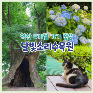 익산 가볼만한 곳 6월 걷기 좋은 달빛소리수목원 카페 산책