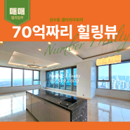 성수동 고급아파트 갤러리아포레 70평 매매