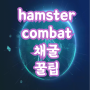 hamster kombat 꿀팁 텔레그램 채굴 daily combo 데일리 콤보
