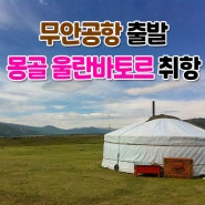 [무안공항] 오렌지투어 | 무안->울란바토르 노선 취향소식 #무안공항 #무안국제노선 #운항정보