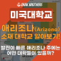 [미국대학] Arizona에는 어떤 대학들이 있을까? 애리조나주 소재 대학교 알아보기!