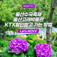 울산 수국축제, 울산 고래박물관! KTX할인받고 가는방법, Let's MOVV