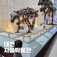 대전 아이와 가볼만한 곳 지질박물관 방문 후기 - 공룡, 우주 박물관