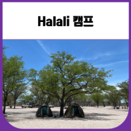 에토샤 국립공원 Halali 캠프 소개