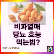 비파열매 효능 당뇨 비파나무 열매 먹는법: 주의할 점은?