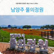 남양주 물의 정원 양귀비 만개한 남양주 데이트 코스