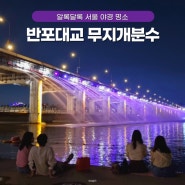 반포대교 달빛 무지개 분수 시간 서울 야경 명소로 추천