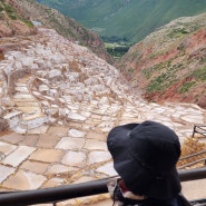 남미 자유여행 페루 신성한 계곡 마라스 소금 염전(광산)인 살리네라스 데 마라스