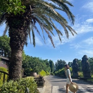 제주일기 3 🌴 서홍정원 브런치, 제주 수국명소 숨도(강추 🤍), 삼성혈해물탕