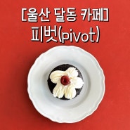 [울산 달동 카페] 특별한 기네스케이크가 있는 힙한 감성 가득한 카페, 피벗(pivot)