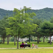 (41) 현충일, 상주 찍고 군위까지(cafe621/경천섬공원/만재당카페)