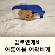 여름 대비 아기베개 아기이불 밀로앤개비 허그베개 듀라론 여름이불