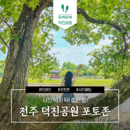 전주 여행 인생샷은 덕진공원에서! 포토존 총정리