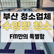 부산수영장청소업체 합리적인 수영장청소비용으로 물때 제거 확실하게