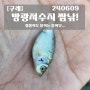 [구례] 방광저수지 짬낚.. 오십견에 무너진 어깨랑 목때문에 낚시가 힘들당.. 240612..